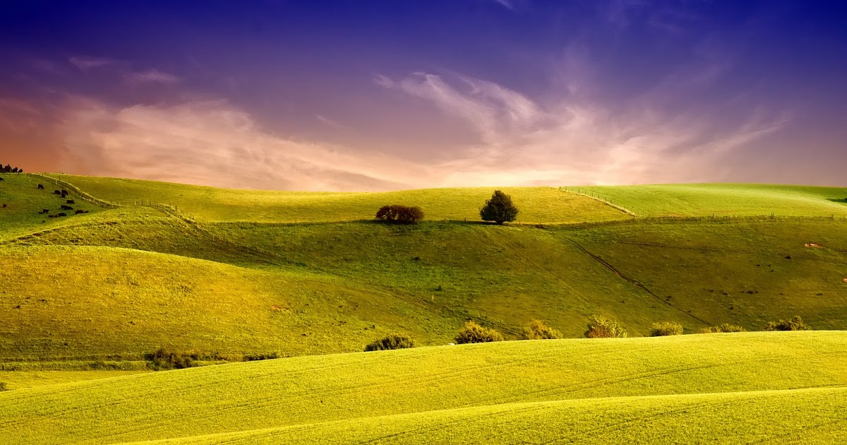 WongSeng HD Wallpapers: Green Field HD Wallpaper