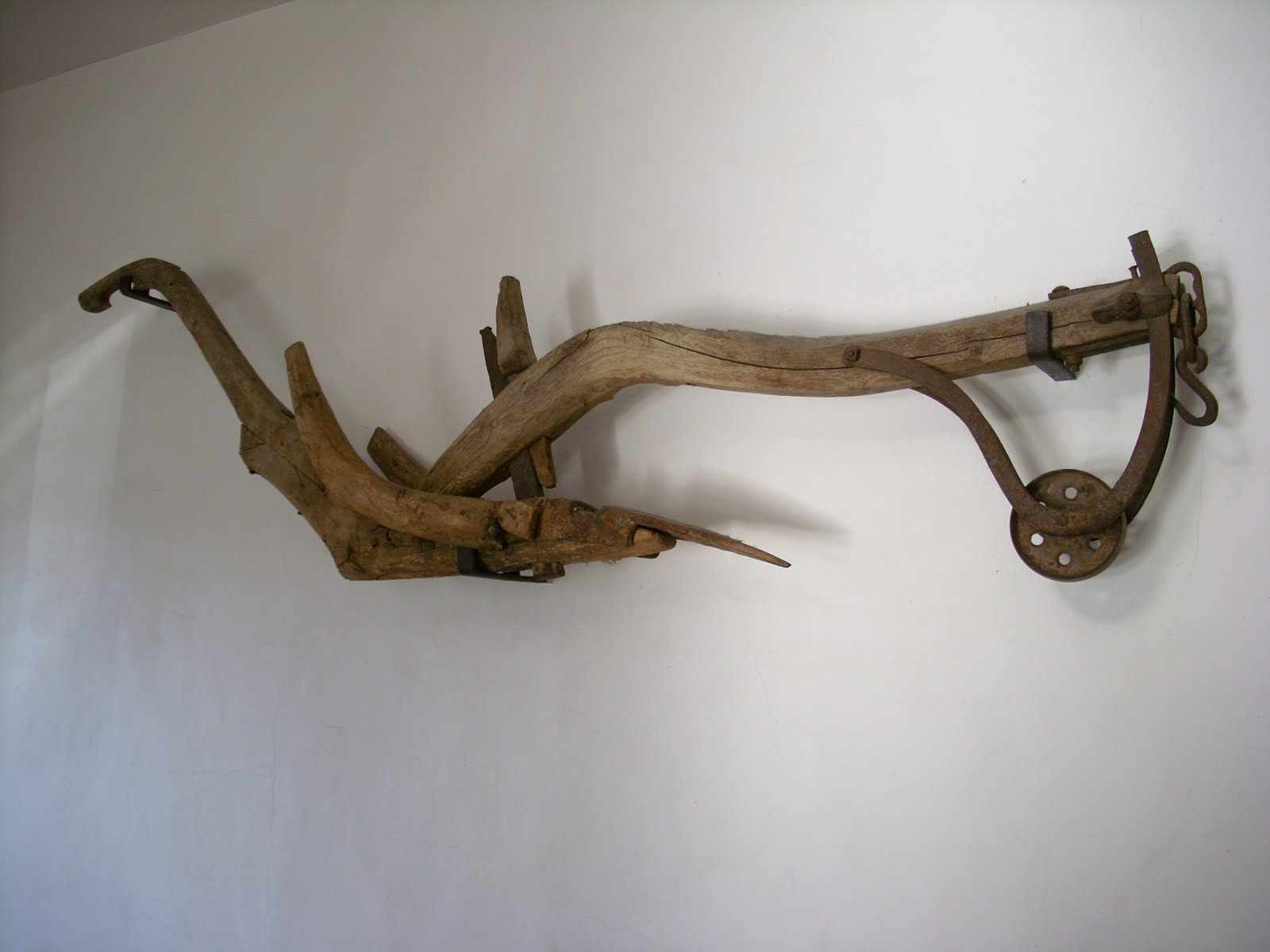 [DSCI0125.JPG]