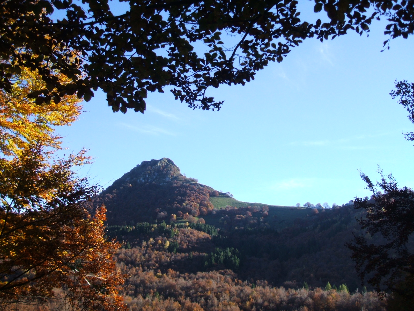 [DSCF0605.JPG]