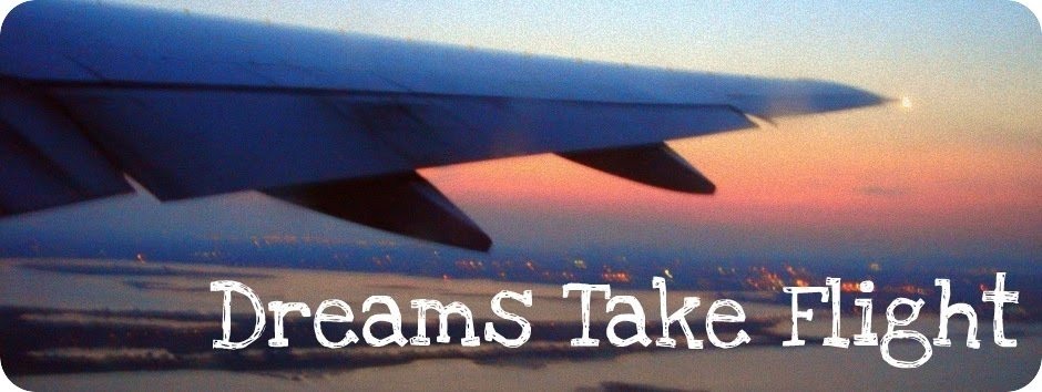 Dreams Take Flight
