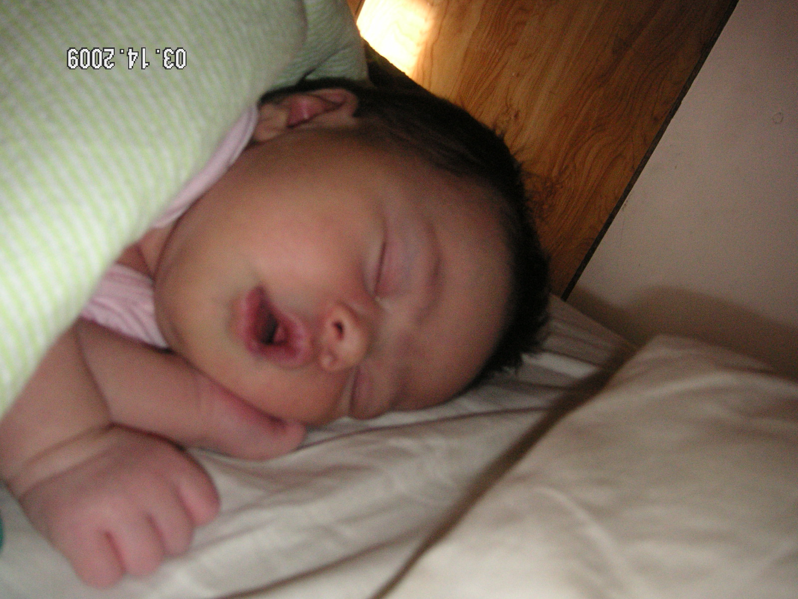 [PICT0042.JPG]