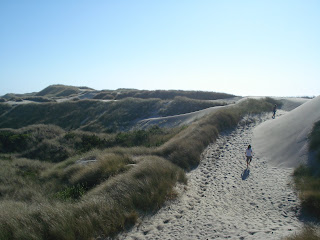 Dune Creeper