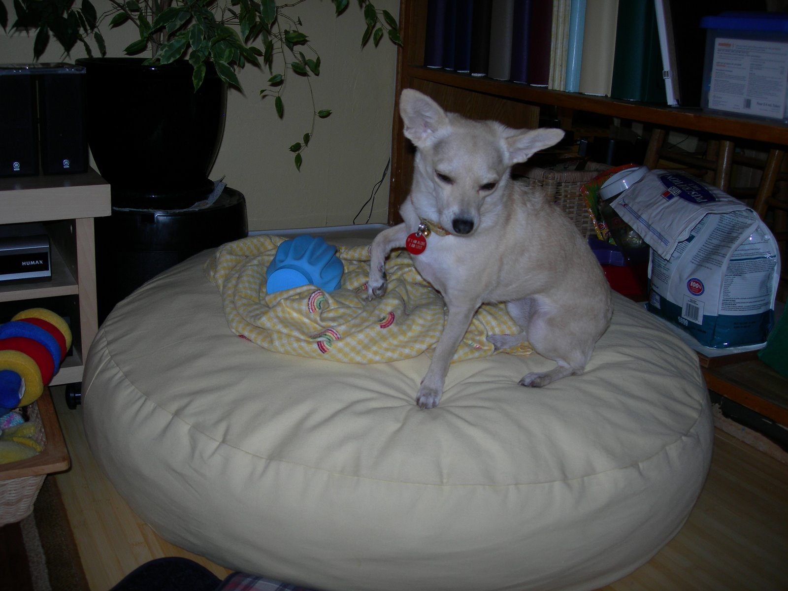 [DSCN2492.JPG]