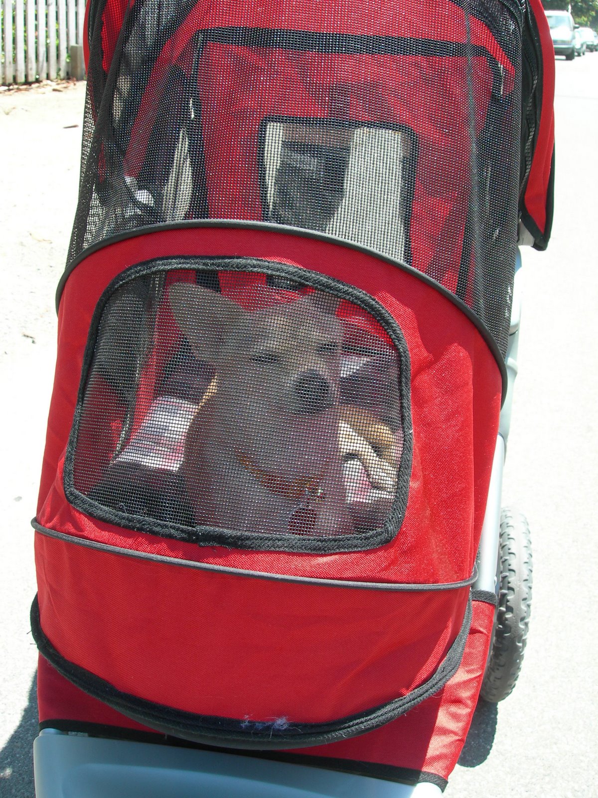 [DSCN3528.JPG]