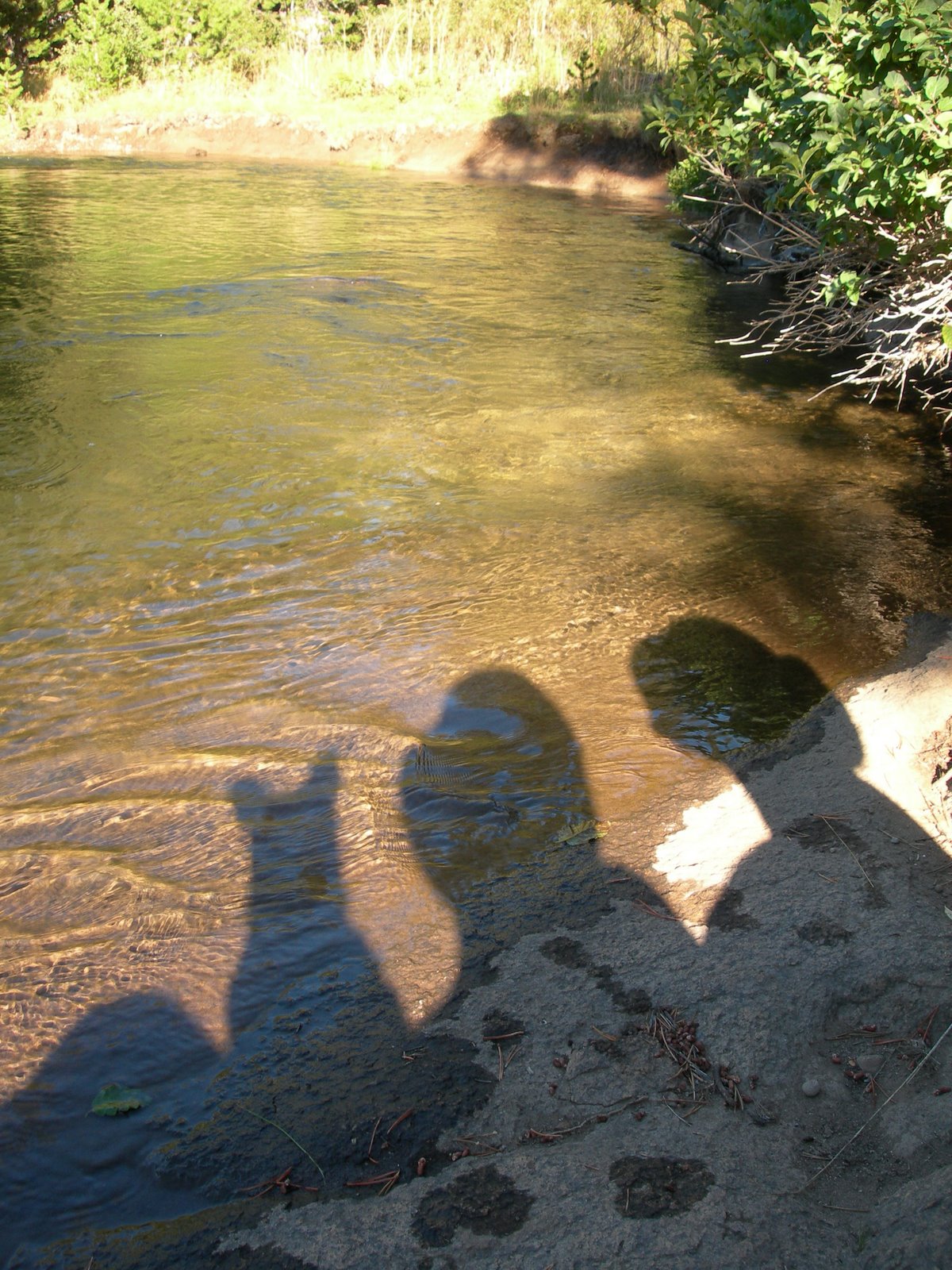 [DSCN2673.JPG]