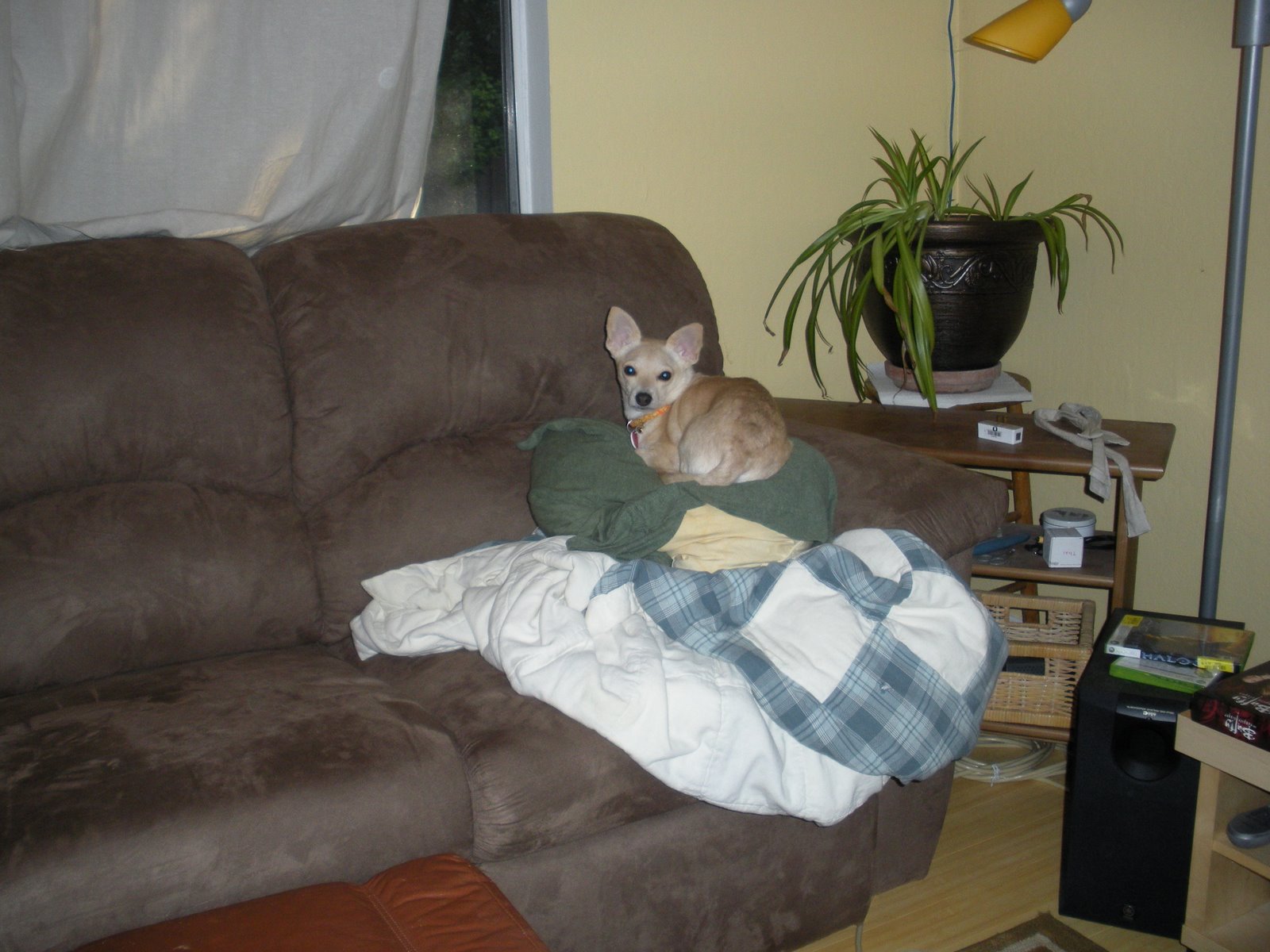 [DSCN0234.JPG]