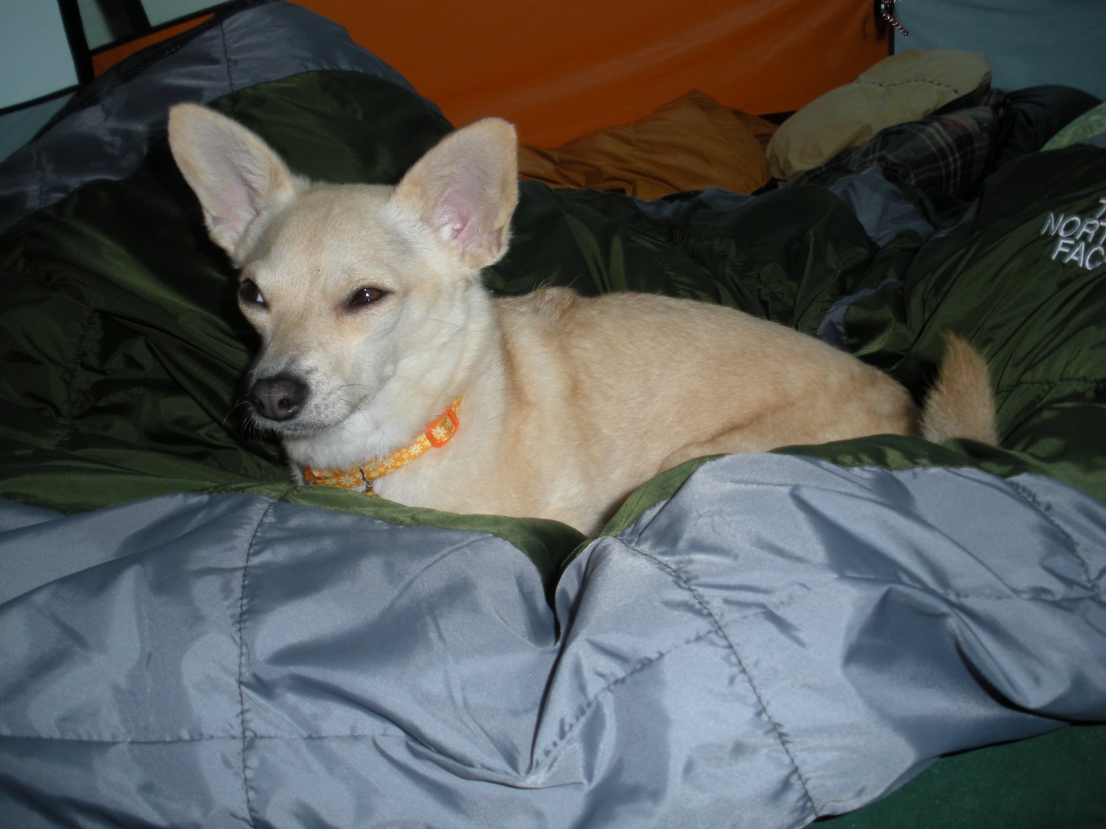 [DSCN0433.JPG]