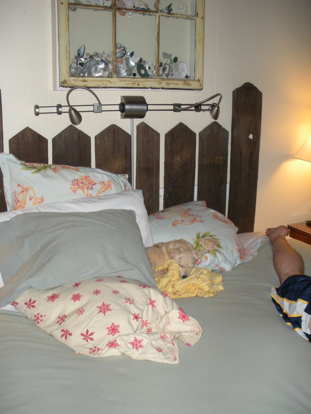 [DSCN0694.JPG]