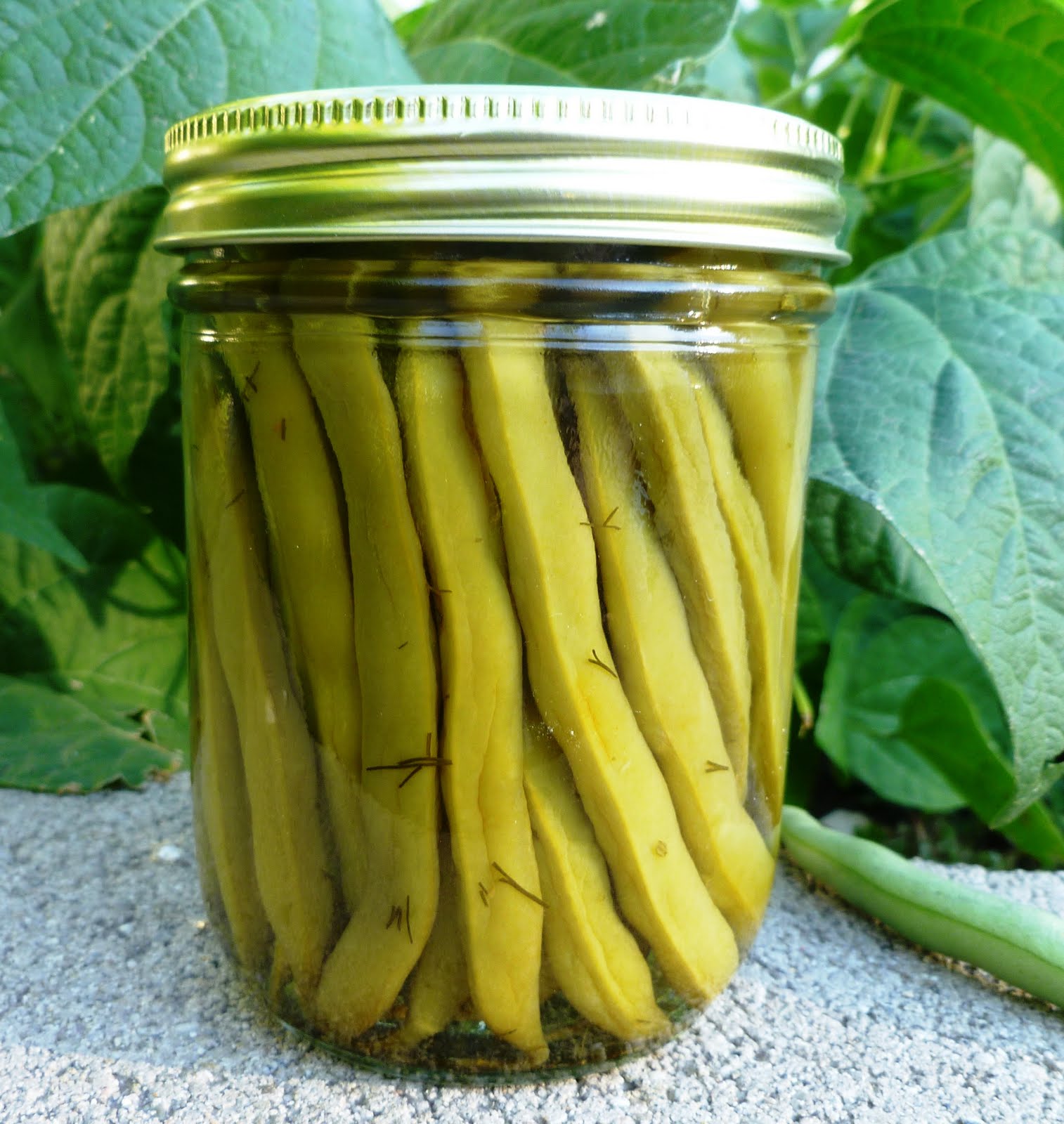 City Home/Country Home Dilly Beans