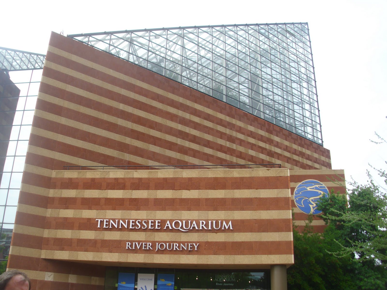 Field Trip Friday Tennessee Aquarium