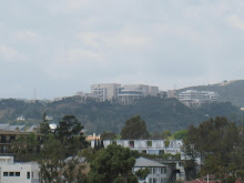 Getty Museum