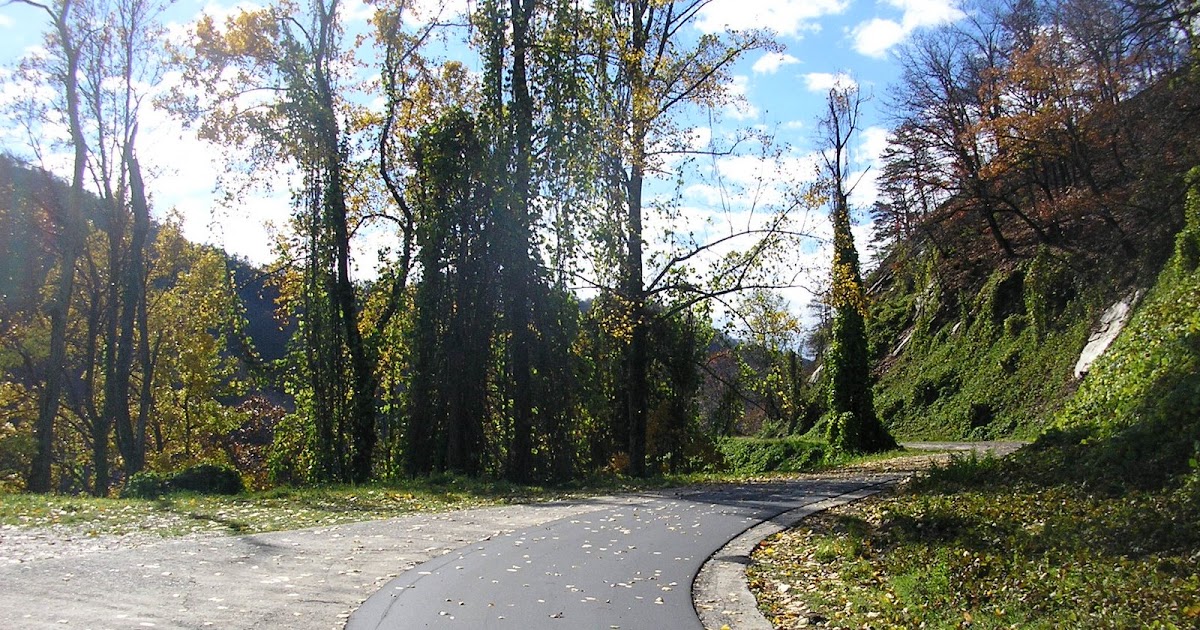 Point Lookout Trail Photos