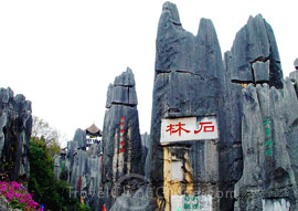 Stone Forest Entrance