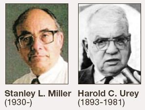 Experimentos de Miller y Urey acerca del origen de
