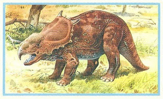 PACHYRHINOSAURUS