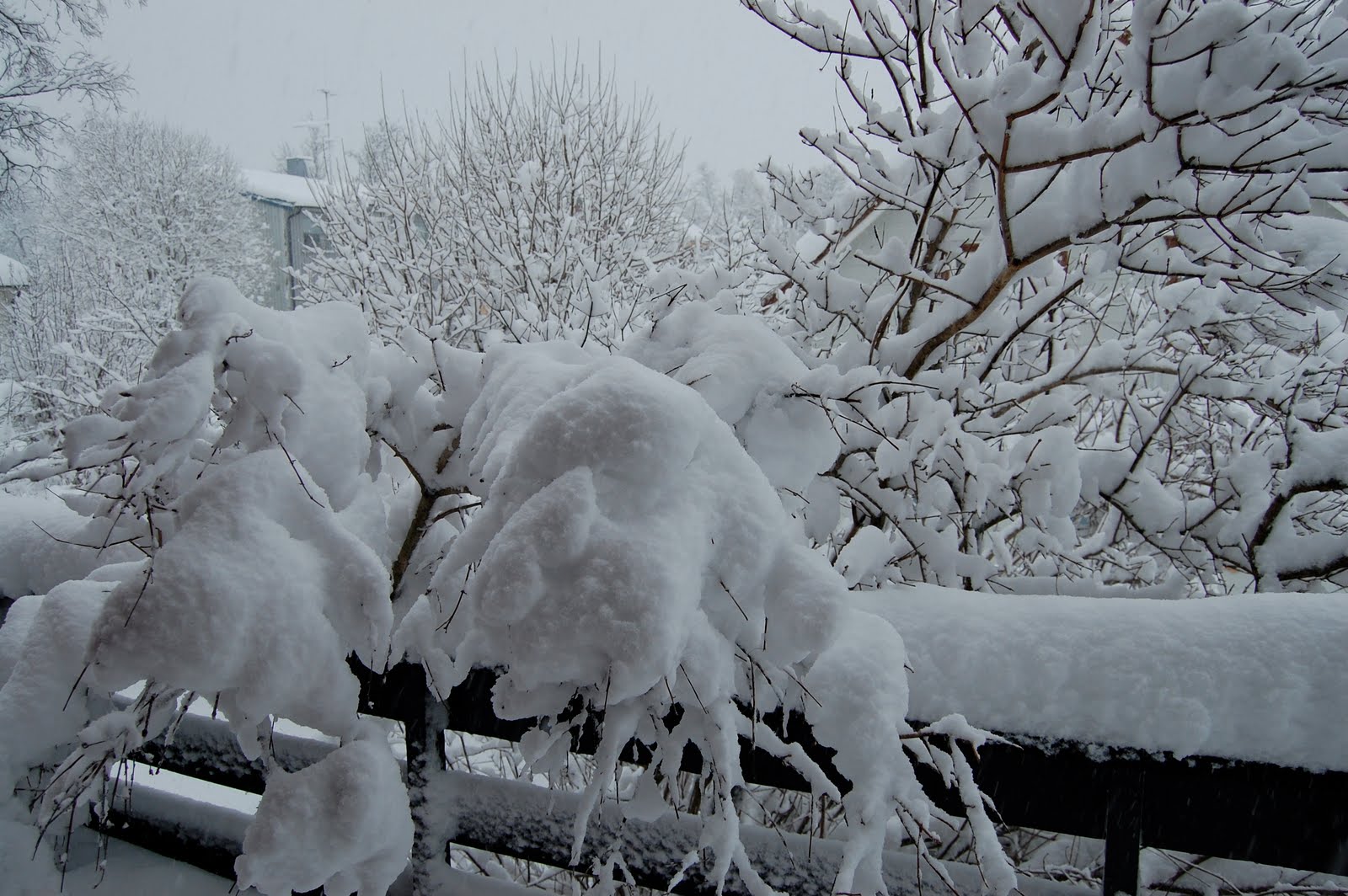 [DSC_4080.JPG]