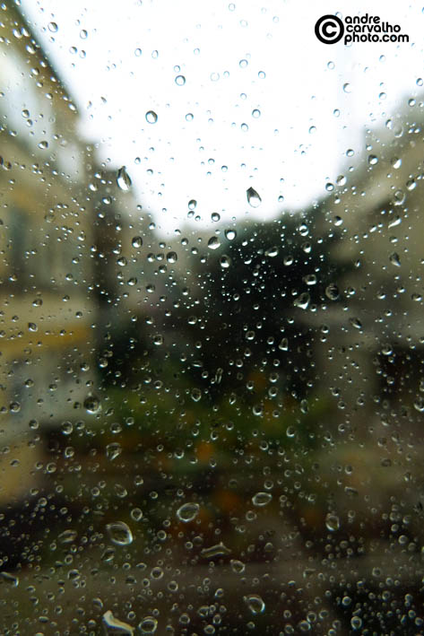 [01.jpg]