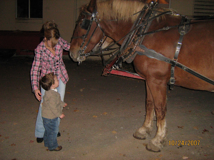 "The Horsey is Big Mom"