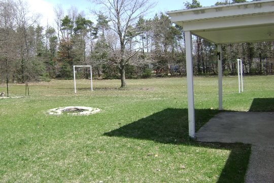 [backyard.JPG]