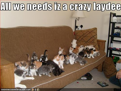 http://3.bp.blogspot.com/_vaSJX91aU2M/Sbn6cseV5LI/AAAAAAAACHk/MoRob3cSOcY/s400/funny-pictures-tons-of-cats-wait-for-their-crazy-lady.jpg