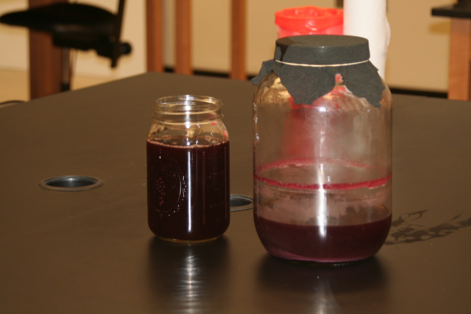 Practical Biology science for everyone Finished grape juice vinegar experiment