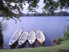 lower seletar reservoir