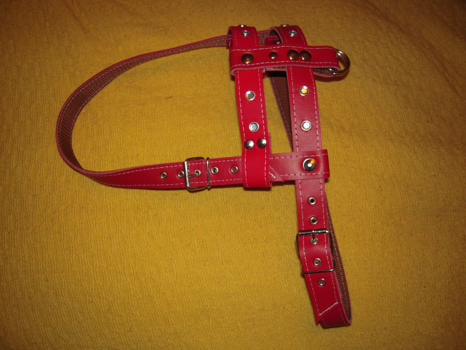 [DSCN2265.JPG]