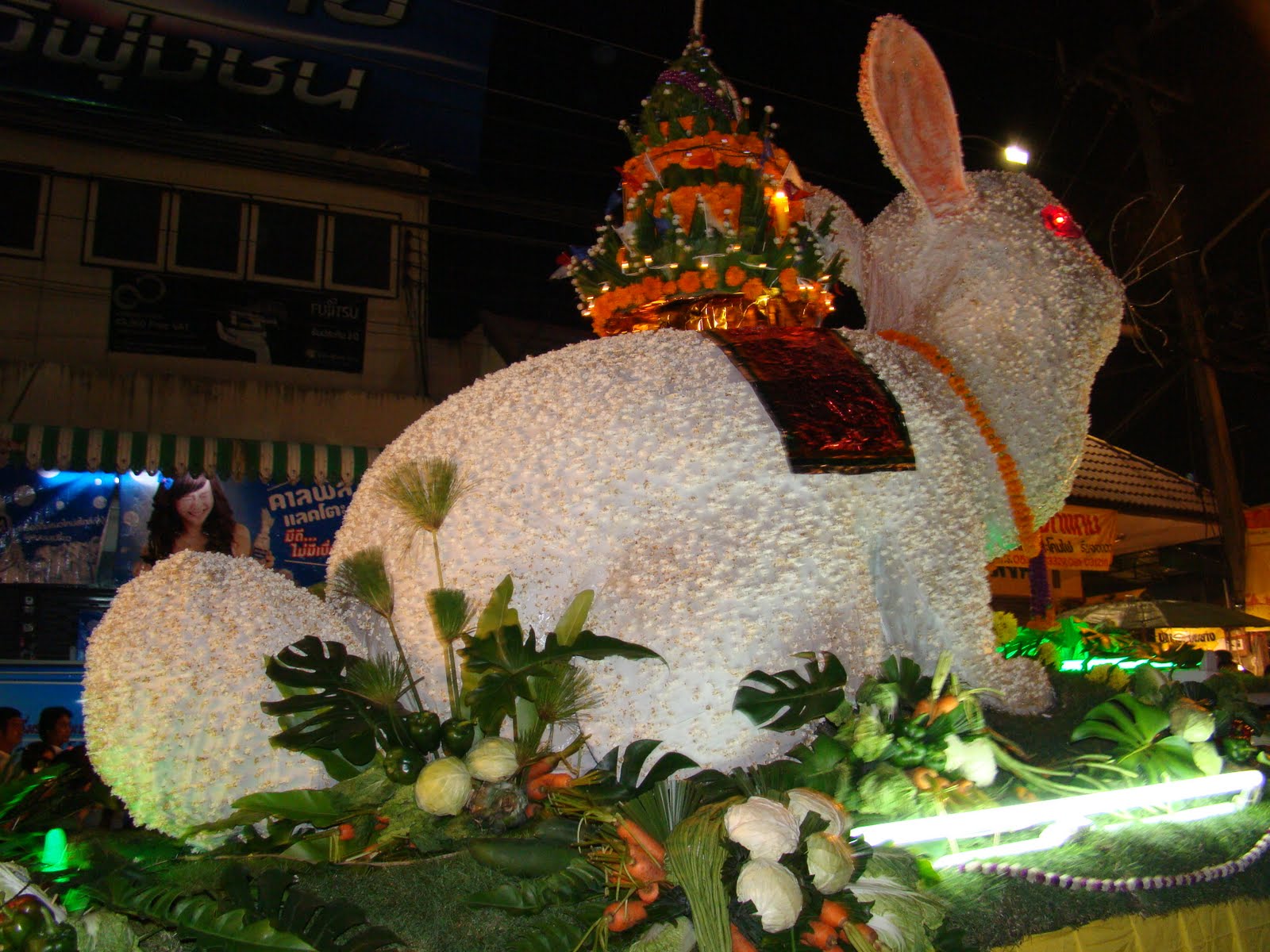 [DSC03544.JPG]
