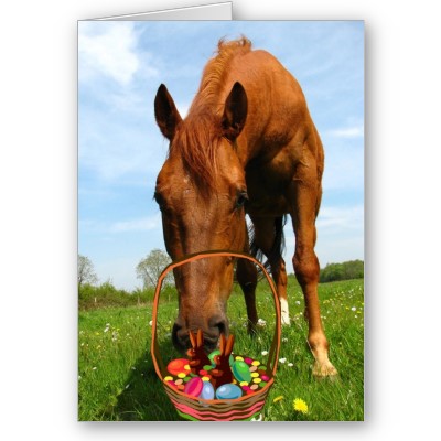 Happy Easter From FalconRidge!