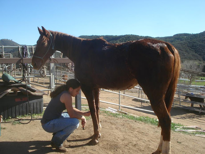 Volunteer Moriah cleaning up Lucky