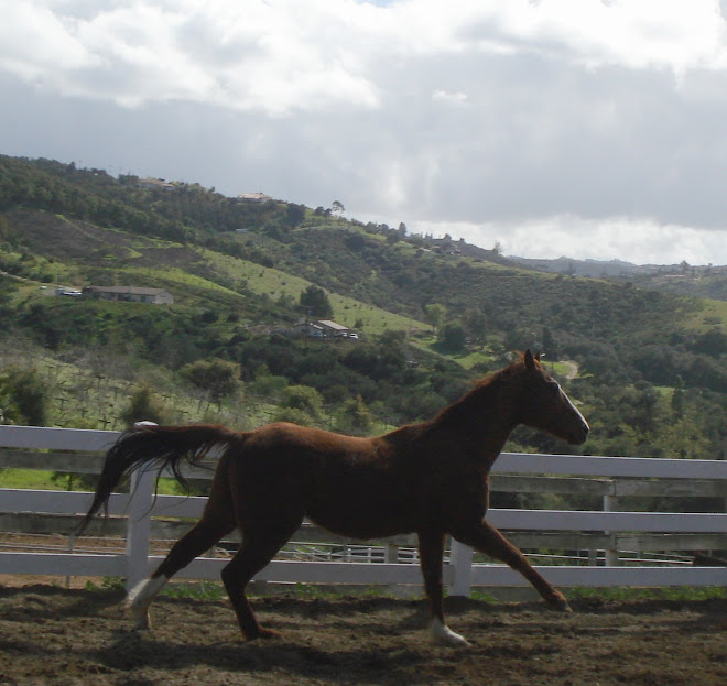 Rowdy, feeling stronger every dayyyy!