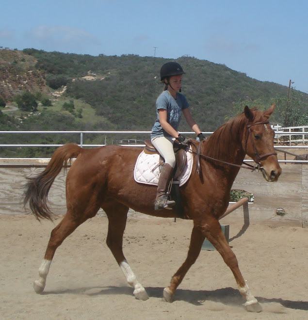 Zoey taking a lesson on Lucky