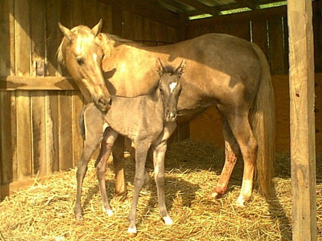 Baby Tyra, Confidence Builder Extraordinaire!