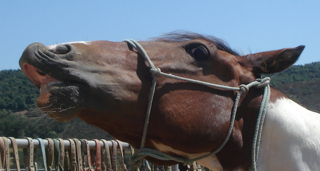 My Name is Toby and I Can Smile!