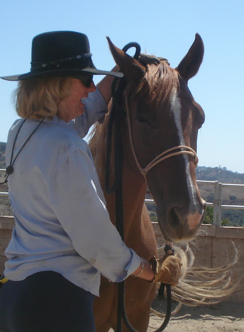 Peg teaching Amber the head down cue