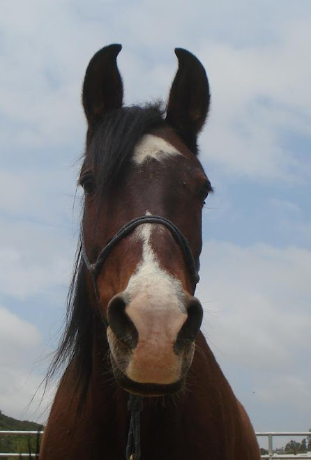 Moriah, looking for her family...