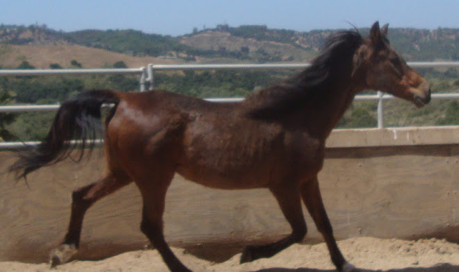 Kharma looking much better