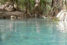 Mataranka Springs