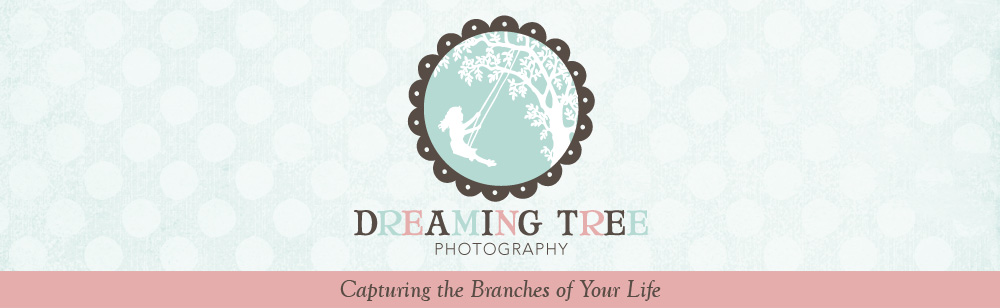 Dreaming Tree Photography