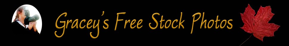 Gracey's Free Stock Photos