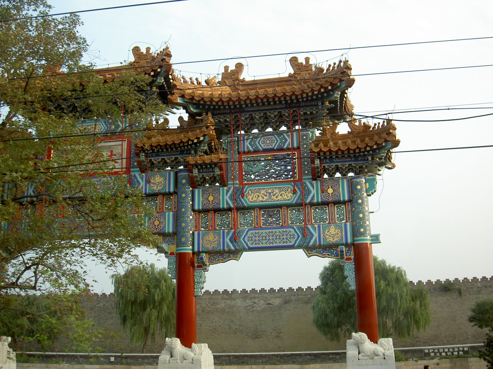 [PICT0773.JPG]