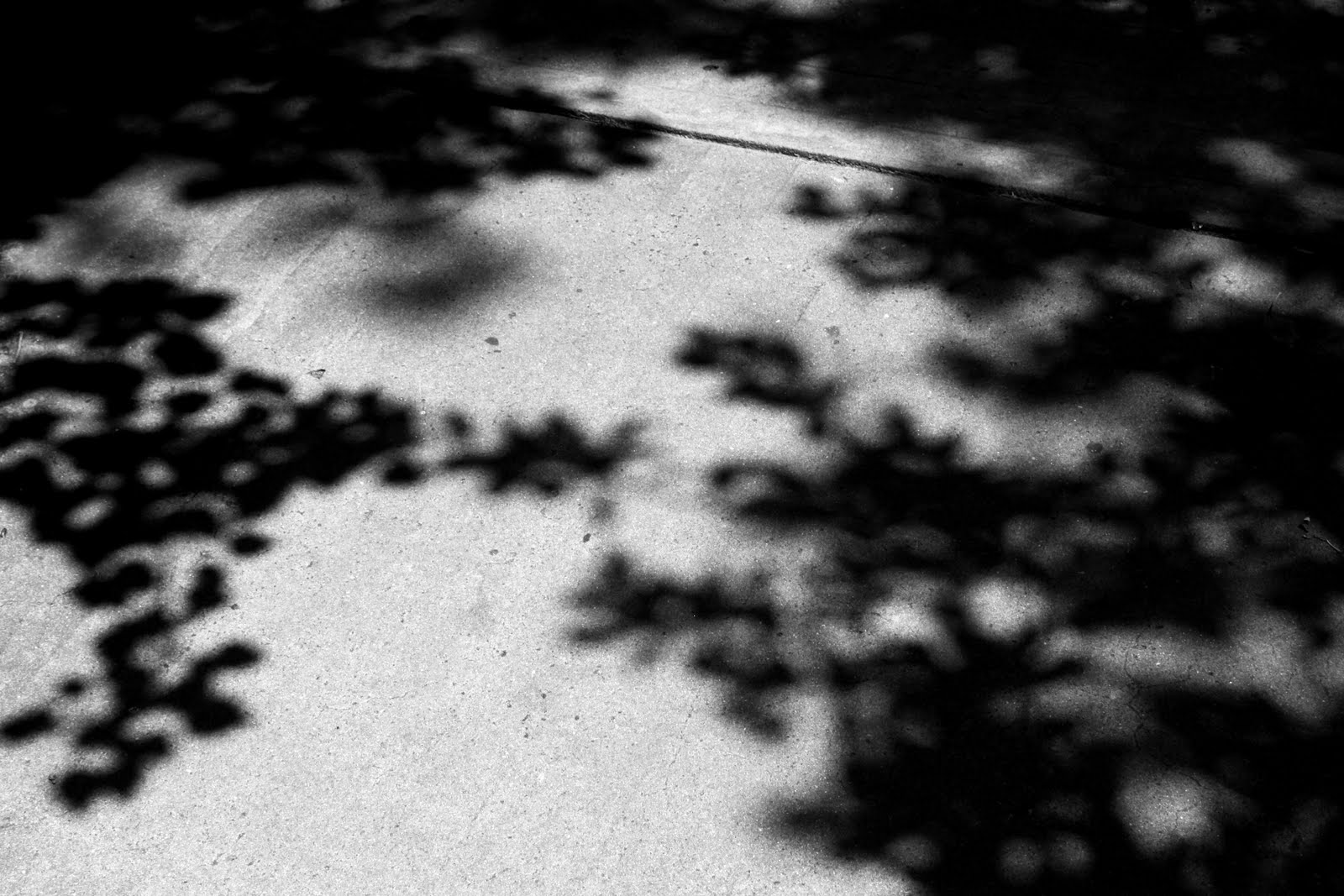 [IMG_0343.JPG]