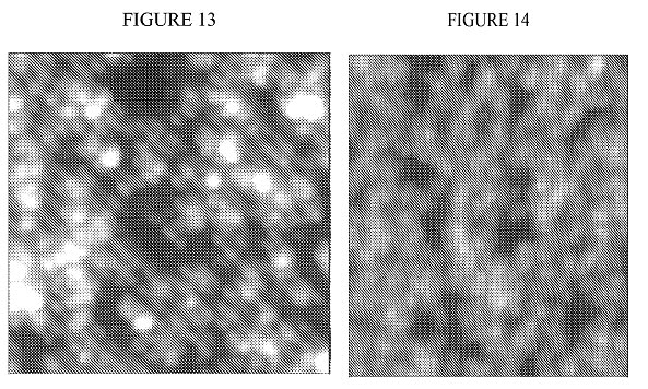 [bridge+13+v+14+compared.jpg]