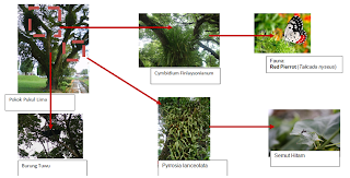 ..membimbing ke arah generasi lestari.. kepentingan Biodiversiti