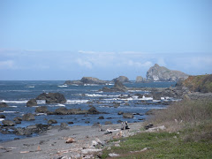 Hotel room view Crescent City,CA