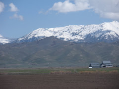 Farms with Sawtooth Mountains riding through Idaho