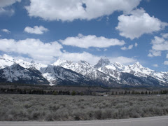 Grand Teton Mountains