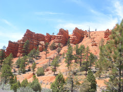 Red Canyon - Route 12