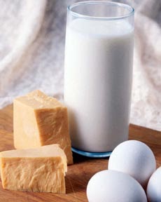 Food Vocabulary Dairy Products Spanish Experts