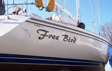 Free Bird is born...